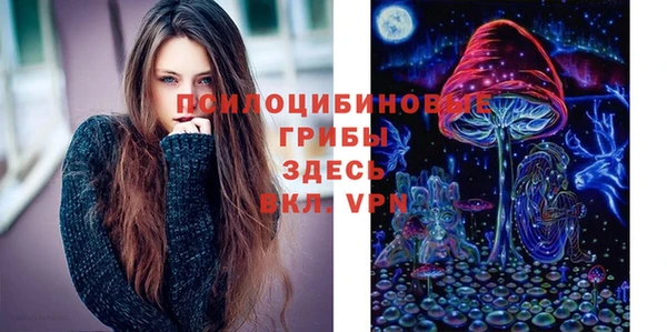 гидра Чекалин