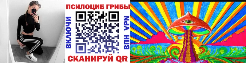 Галлюциногенные грибы MAGIC MUSHROOMS  Сковородино 