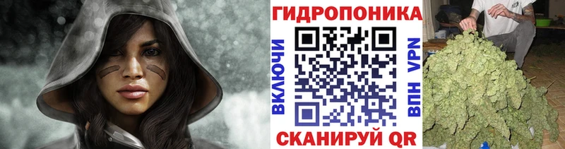 купить наркотики сайты  Сковородино  Каннабис Bruce Banner 